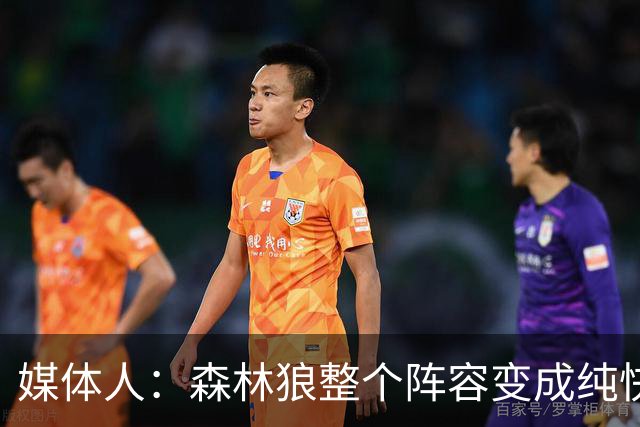 媒体人：森林狼整个阵容变成纯快节奏抢投了 球队也梭哈了